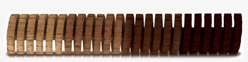 Light - Oak Spirals, transparent png #2725104