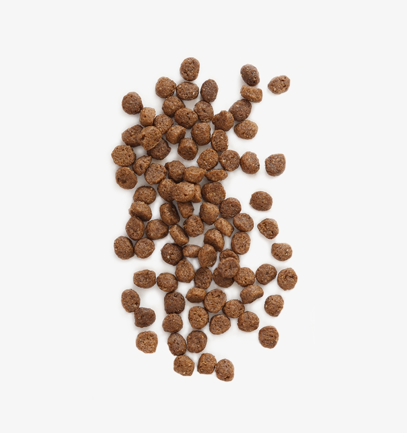 Puppy Vantage™ Is 100% Guaranteed For Taste And Nutrition - Wells Earthborn Holistic Puppy Vantage Natural Puppy, transparent png #2726101