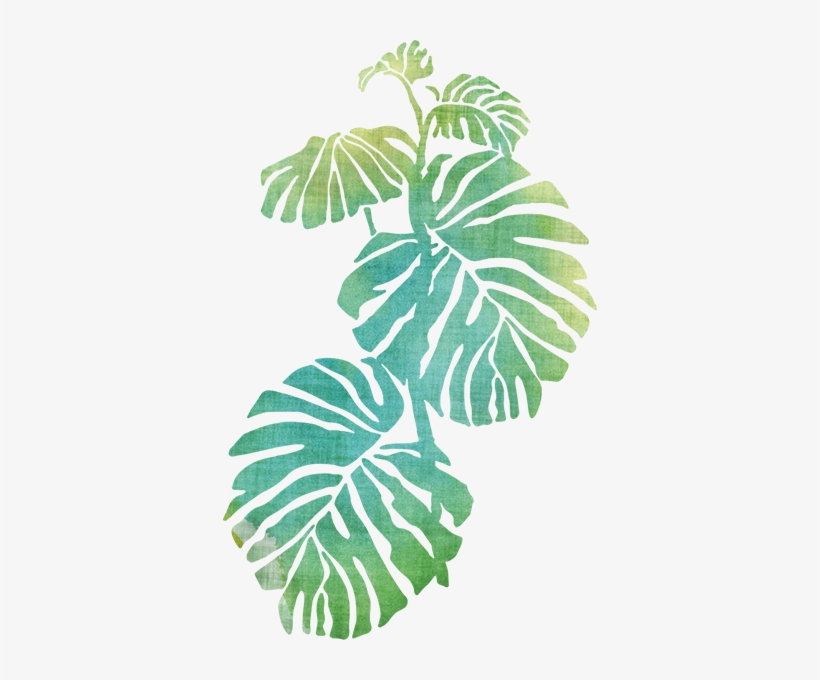Vinilo Decorativo Costilla De Adán Acuarela - Hojas De Costilla De Adan, transparent png #2726446
