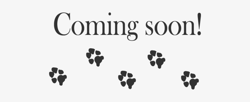 Dog Coming Soon - Coming Soon With Dog, transparent png #2727619