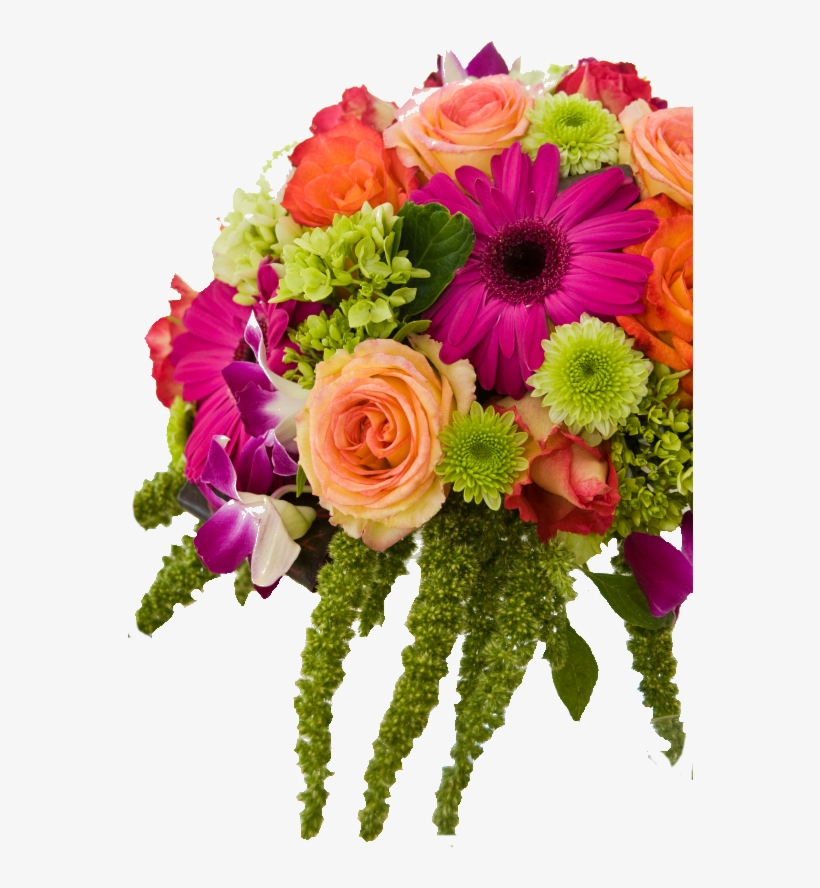 Aboutus - Enclosure Card - Birthday Flowers (50ct), transparent png #2728187