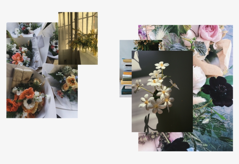 Worm Shop-15 - Portable Network Graphics, transparent png #2728319