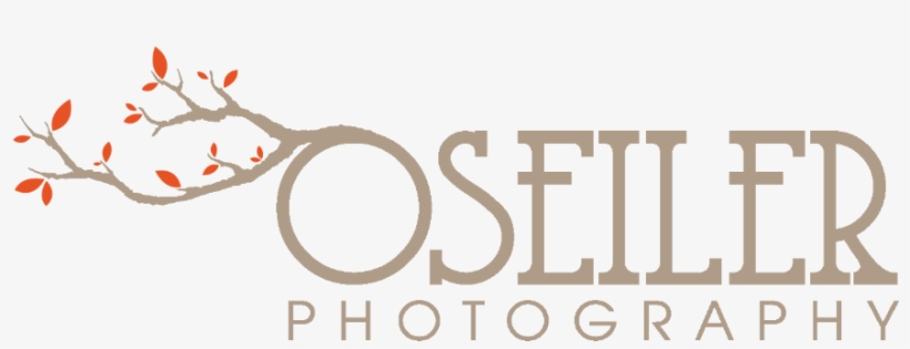 Jordy Nelson At Divine Savior La Vita - Healthy Paws Adult Wet Food Tin 400g - Turkey &, transparent png #2728621