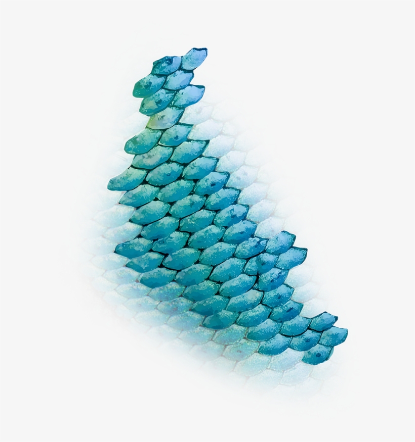Fish Scales Png - Bead, transparent png #2728907