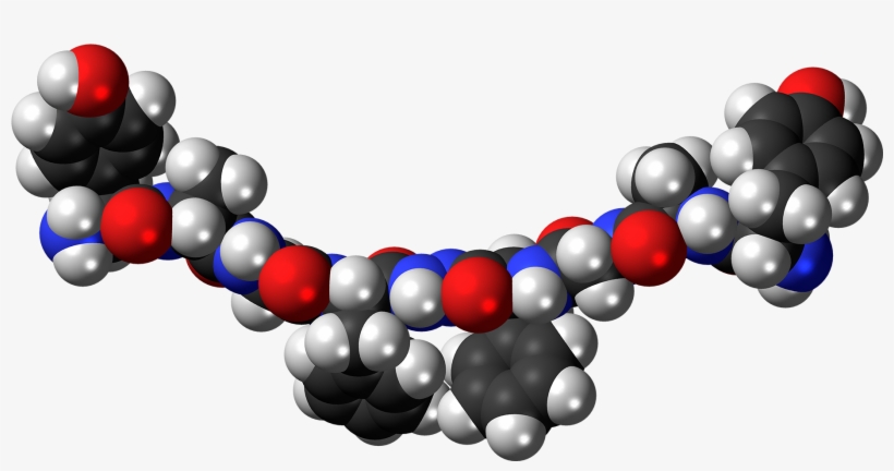 Biphalin Molecule Spacefill - Ghrelin Space Filling Molecule, transparent png #2728930