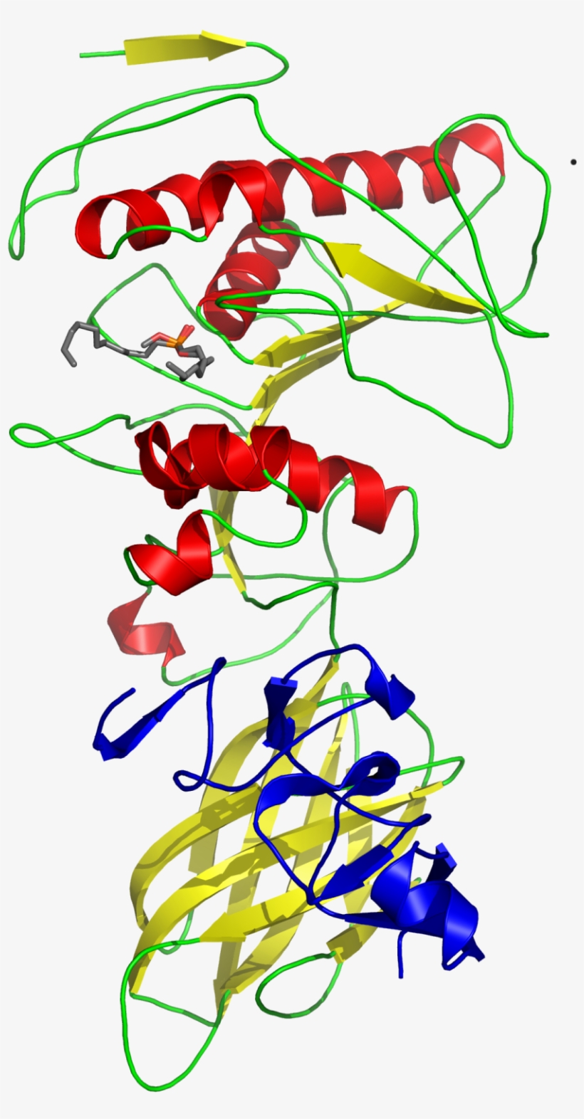 Pancreatic Lipase, transparent png #2729356