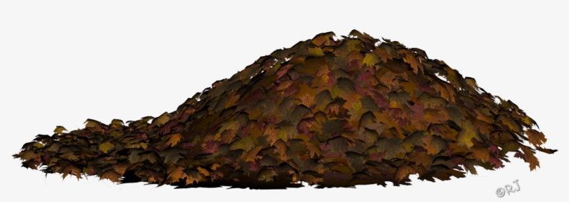 Perfect For Layering Your Autumn Projects - Leaf, transparent png #2730190