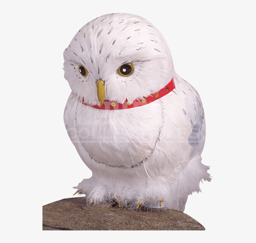 Hedwig The Owl Prop - Harry Potter Hedwig Owl Prop, transparent png #2730788