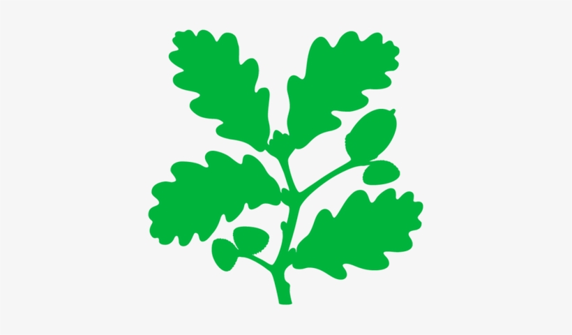 Lindisfarne Castle - National Trust Logo Png, transparent png #2731176
