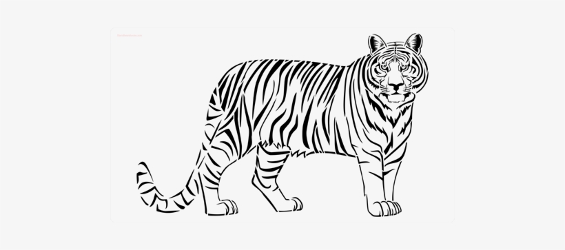 Tiger Stencil - Tiger Clip Art, transparent png #2732276