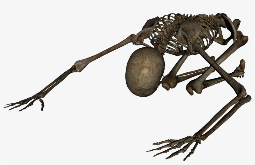 Free Icons Png - Your Special, transparent png #2732935