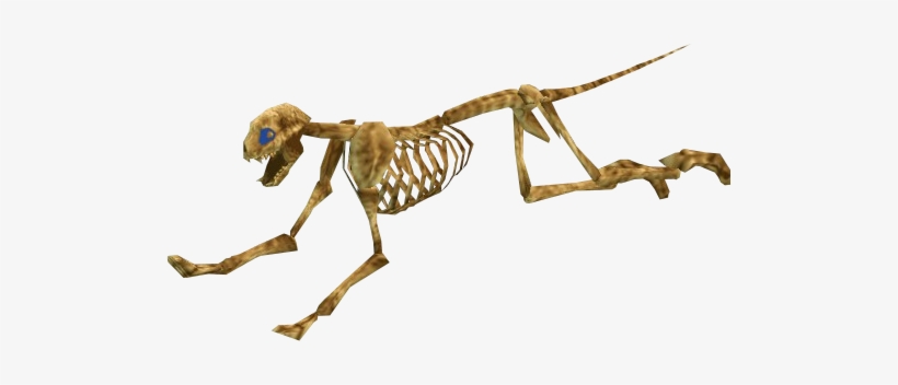 Were-panther Skeleton 2 Dxc - Wiki, transparent png #2733137