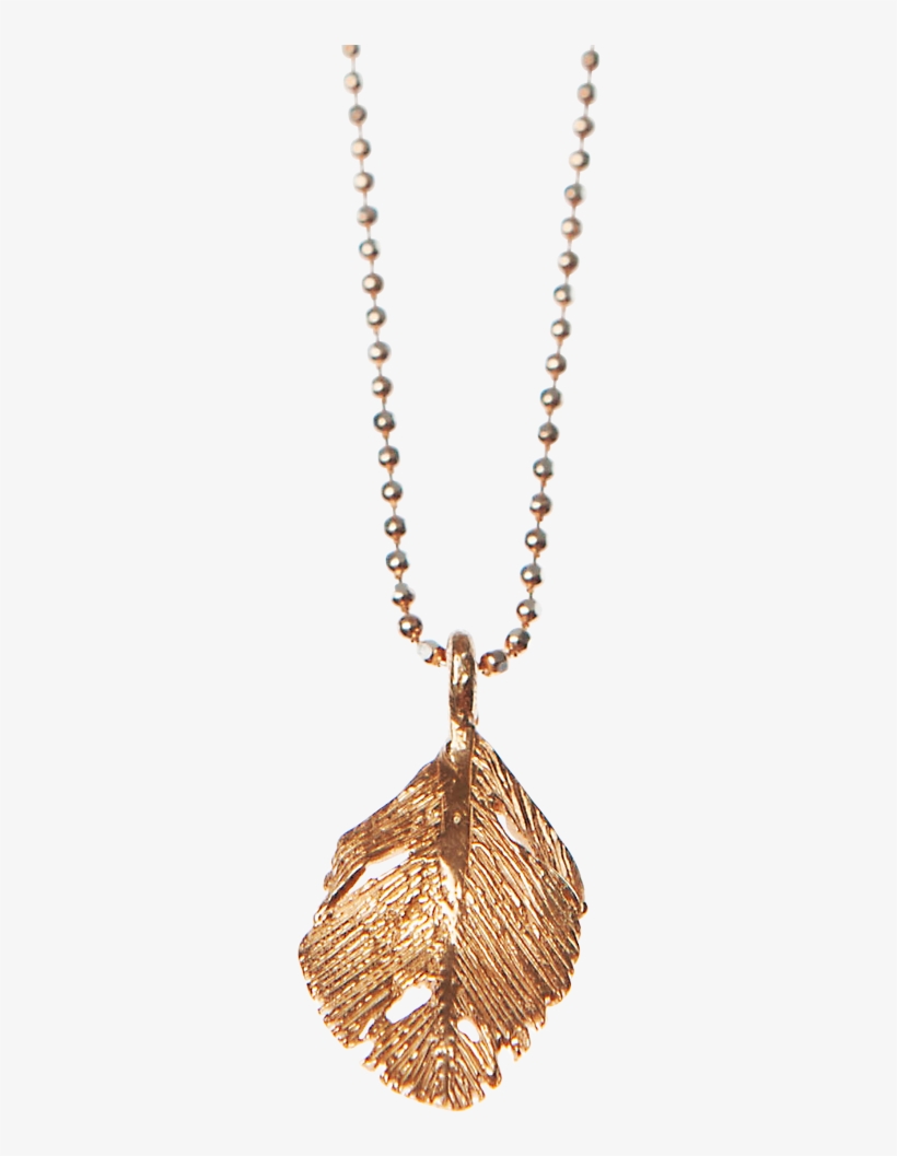 Aurum Rose Raven Feather Pendant - Wrinkle In Time Jewelry, transparent png #2733697