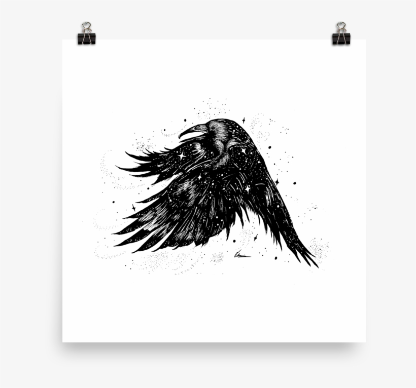 Starry Raven, transparent png #2733795