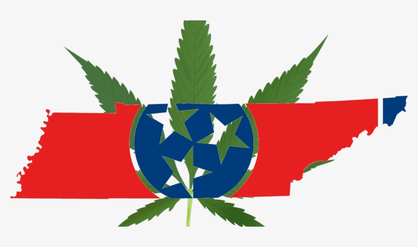 Residents Want Tennessee Medical Marijuana, But Politicians - Cannaleaf-1 Shower Curtain, transparent png #2735064