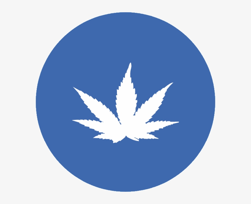 Medical Marijuana - Health Care And Marijuana, transparent png #2735232