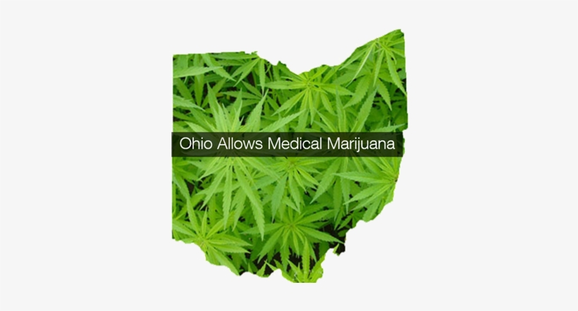 Ohio Governor Kasich Signs Medical Marijuana Law Making - Ohio Marijuana, transparent png #2735299