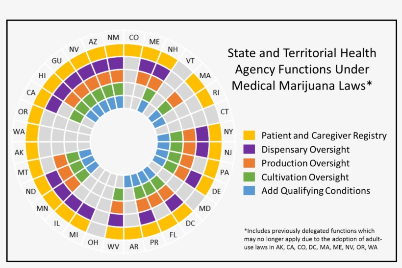 State And Territorial Health Agency Functions Under - Health, transparent png #2735534