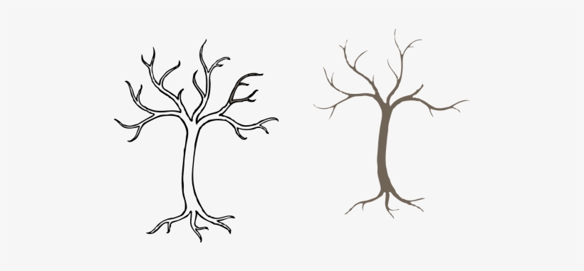 Outline Of A Tree, transparent png #2735700