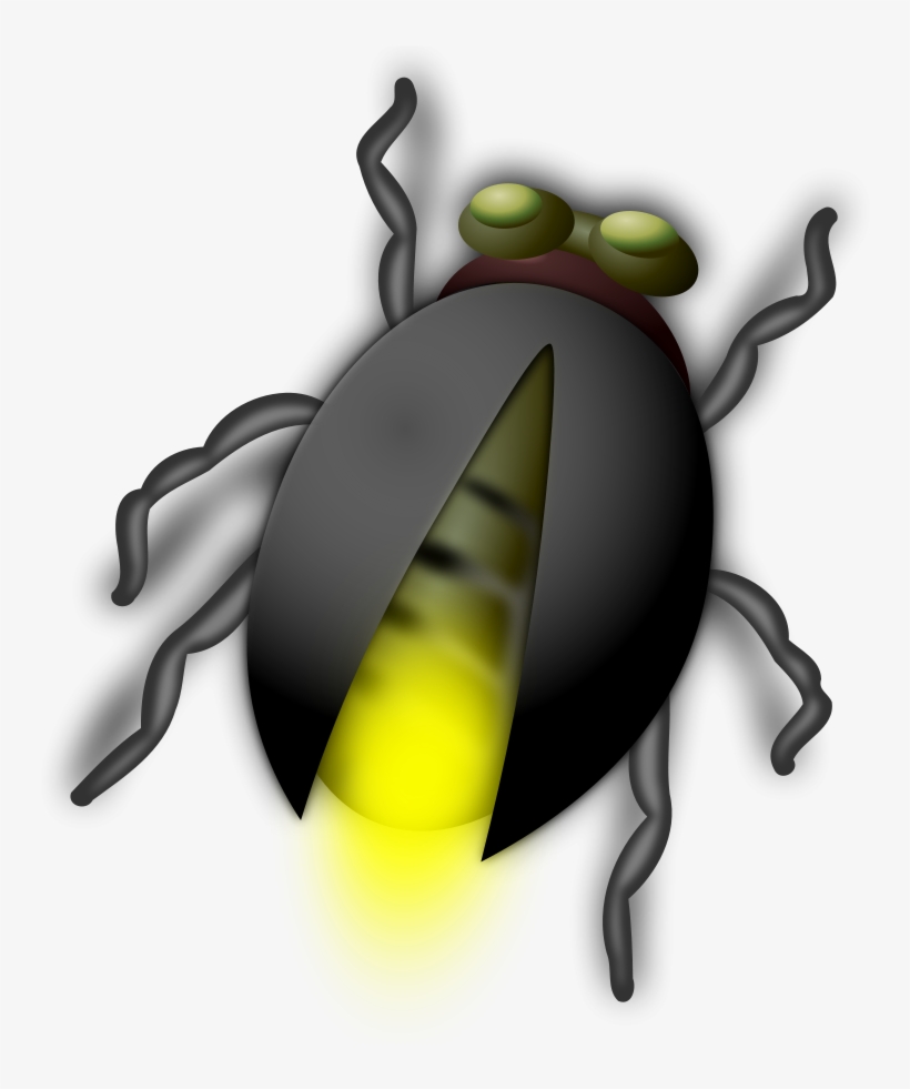 How To Set Use Lightning Bug Buddy Clipart - Bug Clip Art, transparent png #2736292