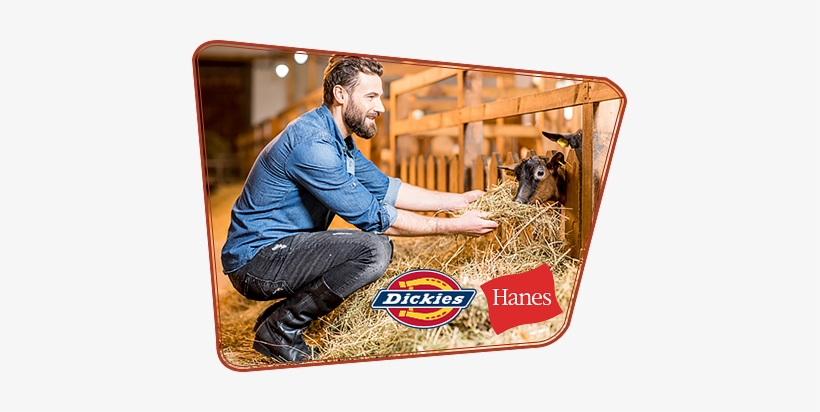 Hanes/dickies Clothing - Freng Dickies Apparell J0188 Samsung Galaxy Note 8, transparent png #2736595