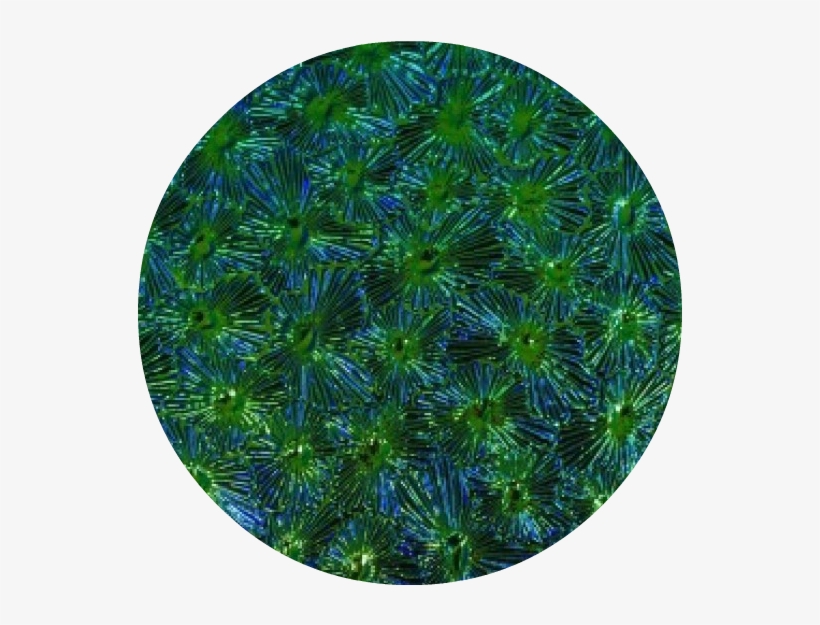 Circle, transparent png #2736692