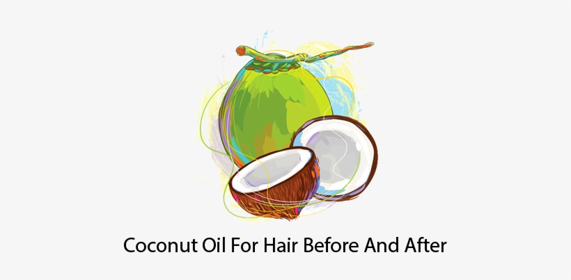 Coconut Oil For Hair Before And After Logo - Coconut Oil Logo, transparent png #2738647