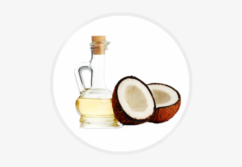 Pure Coconut Oil - Molivera Organics Fractionated Coconut Oil 16 Oz. Premium, transparent png #2738702