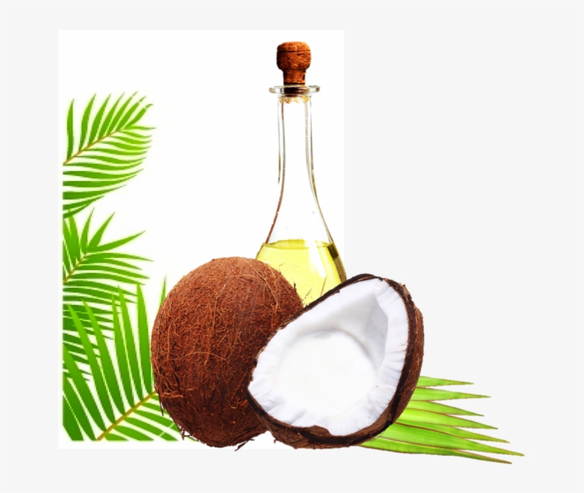 #1 Must Have In Every Home - Coconut Oil: The Amazing Coconut Oil Miracles: Simple, transparent png #2738947