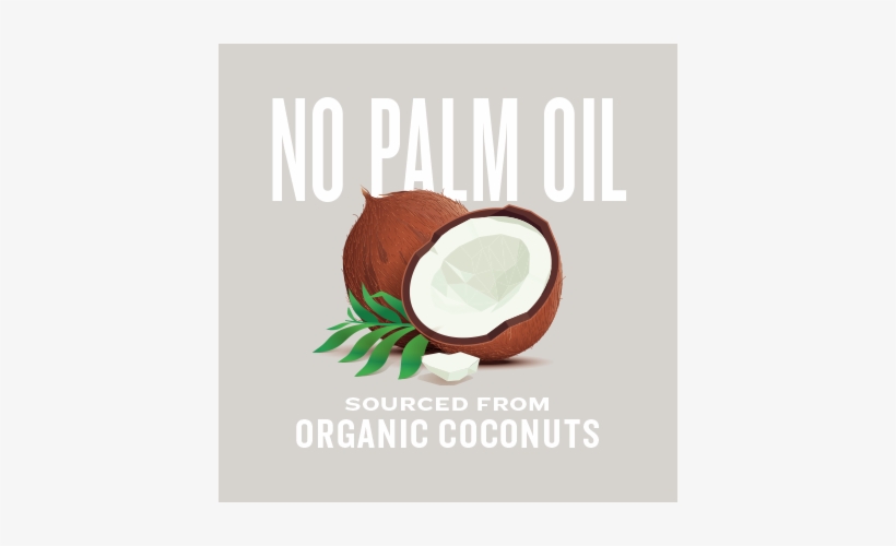 Natural Force Mct Oil Contains No Palm Oil And Is Sourced - Coconut Oil Illustration, transparent png #2739098