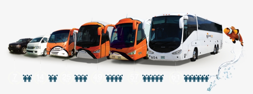 The Best Way To Charter A Bus - Creative Design, transparent png #2739391