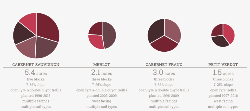 The Vines Are Cane Pruned And Trained To Both The Open - Portable Network Graphics, transparent png #2739481