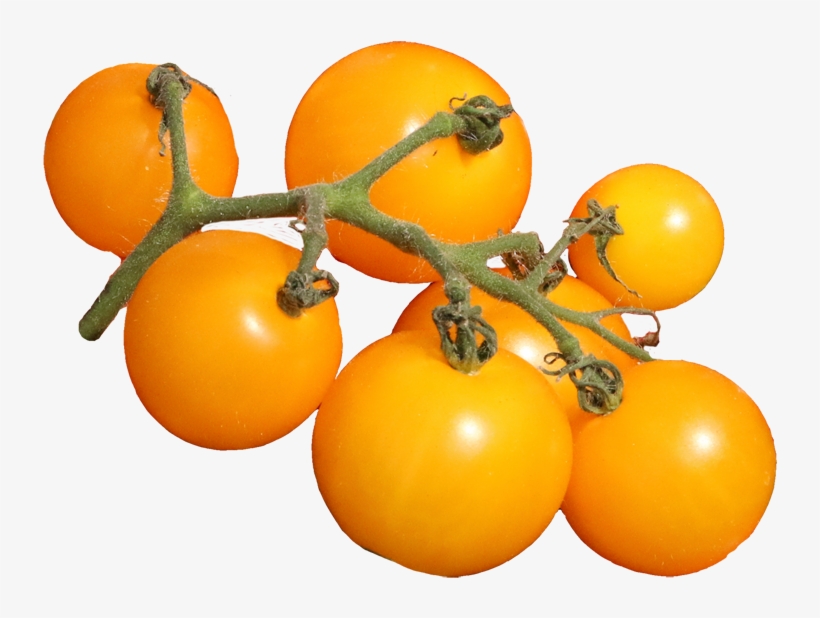 Valleybrook Gardens Ltd, transparent png #2740952