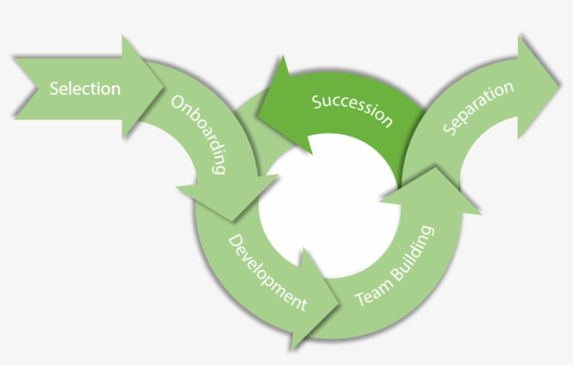 The Employee Lifecycle - Employee Lifecycle, transparent png #2740956