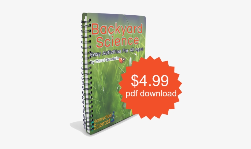 3dnotebook1 Backyard Science Price - Cajun Shrimp Opi Nail Polish, transparent png #2741083