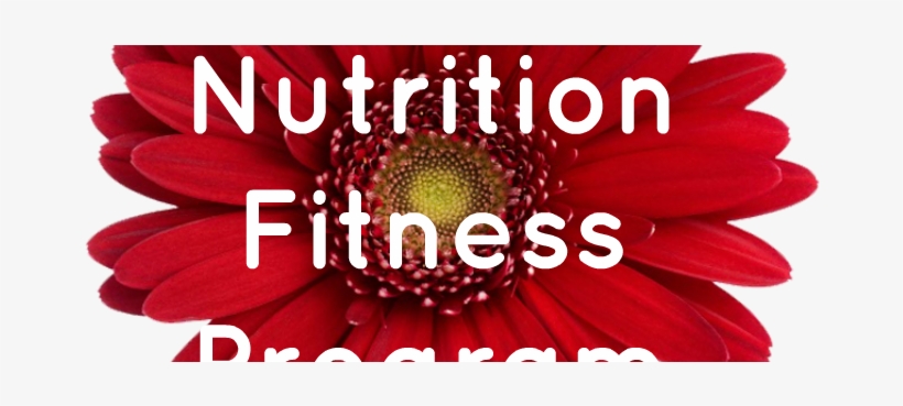 Web Page Fit Nut Button - Flower, transparent png #2741276