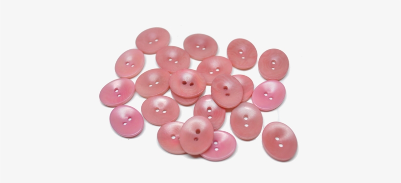 Corozo Small Oval - Bead, transparent png #2741709