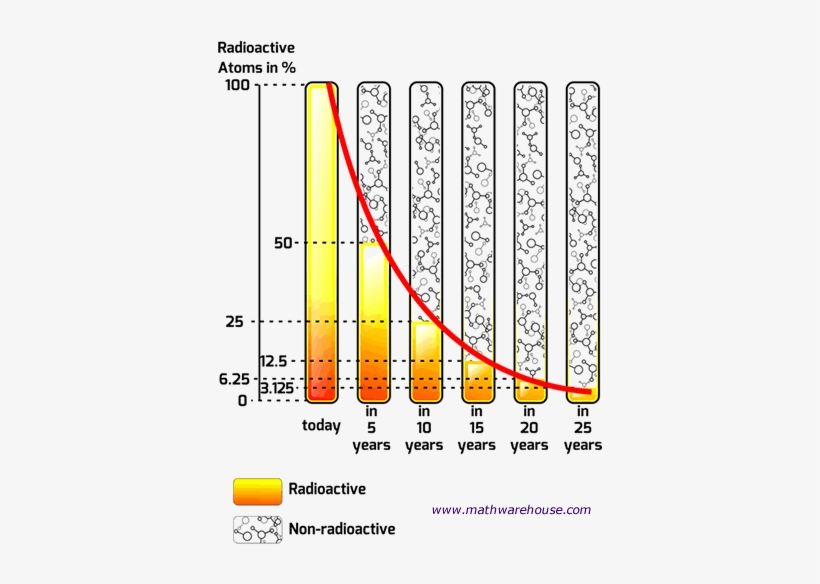 Half Life Explained With Interactive Images Charts - Exponential Decay In Real Life, transparent png #2742772