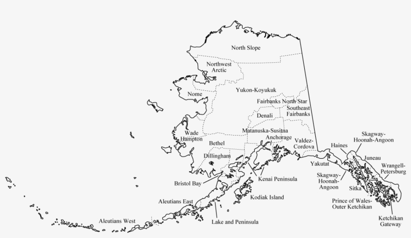 We Started The Monitoring Of Picea Marinana Forest - White Forest Alaska, transparent png #2742846