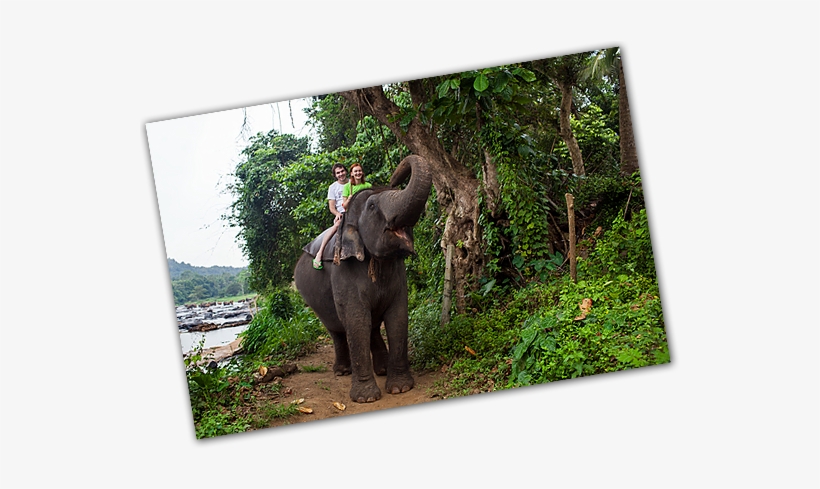 A & R Block Travel Ltd - Honeymoon, transparent png #2743231