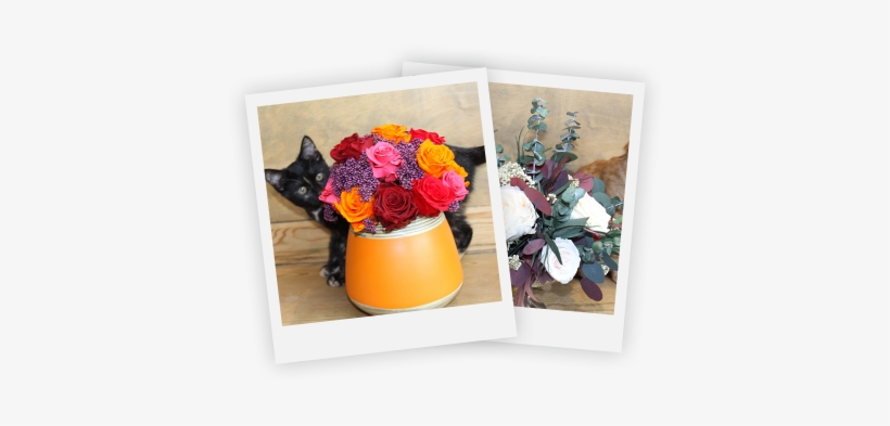 Get Social With Magic Flowers - Social Media, transparent png #2743398