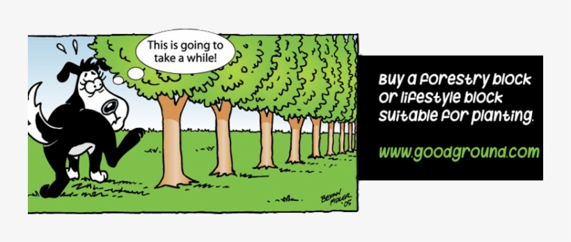 Buy A Forestry Block Dub Dub - Forestry, transparent png #2743465