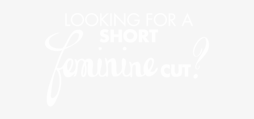 T-shirt, transparent png #2743510