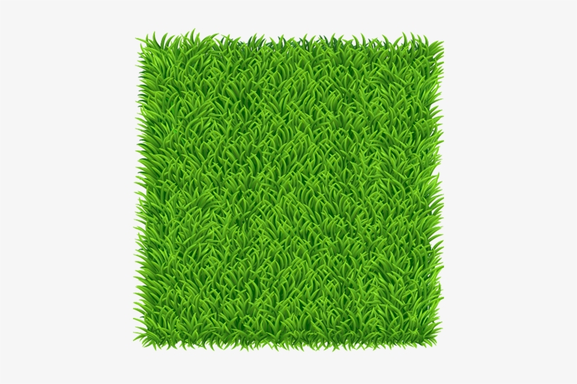 Block Bookings £5 Per Session / Daily Drop Offs £6 - Grass Square Png, transparent png #2743757