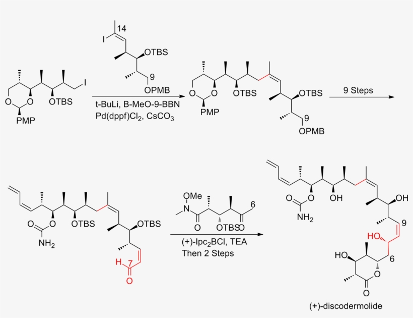 The Novartis 60 G Total Synthesis Of Discodermolide - +- Discodermolide, transparent png #2744397