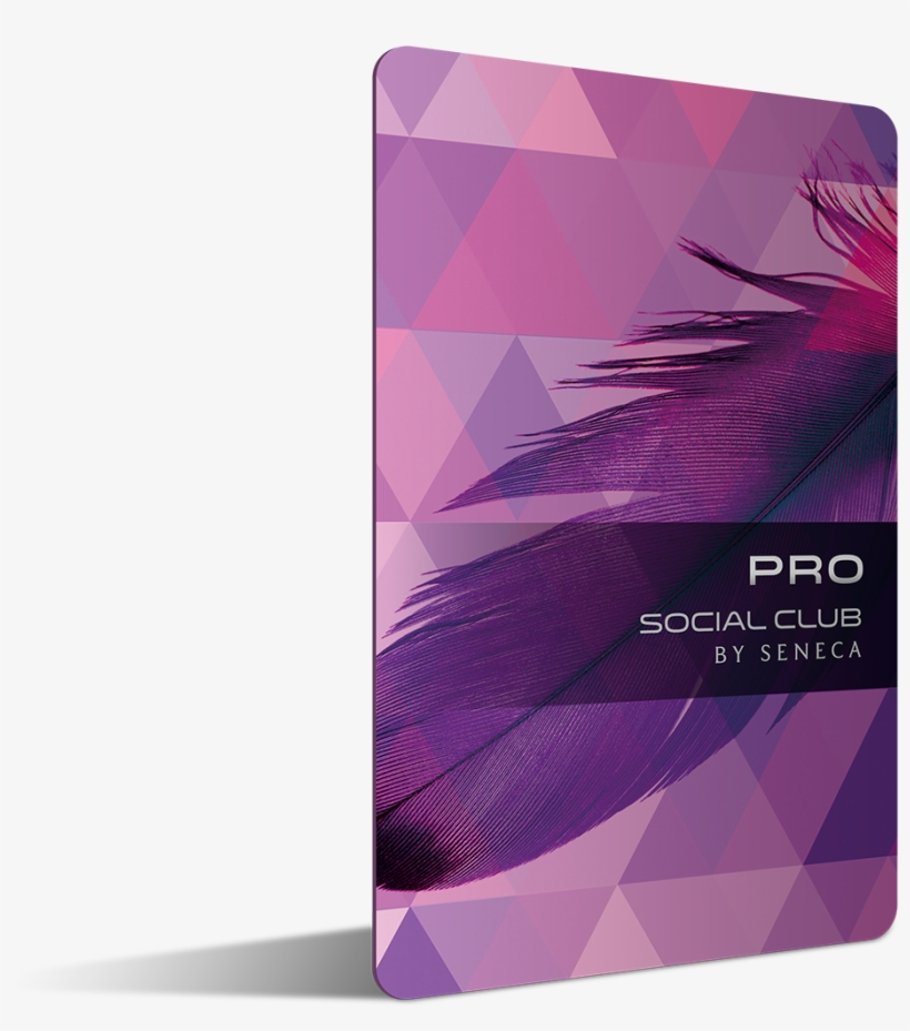 Player Card Pro Sm - Seneca Niagara Resort & Casino, transparent png #2745295