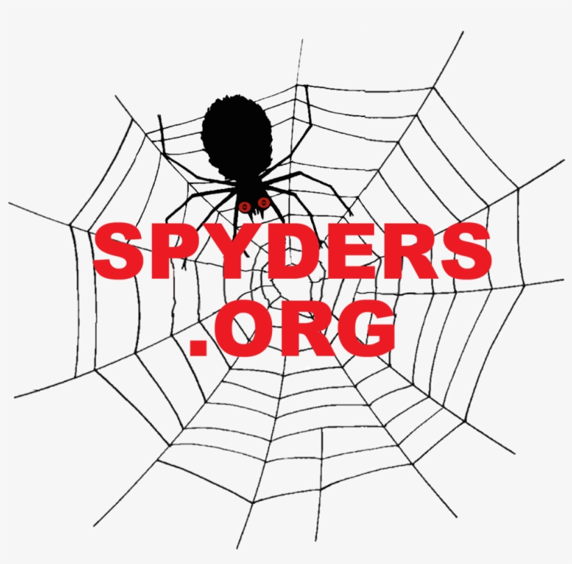 Button6-nwa Spydersorg - Spider In Web Drawing, transparent png #2747270