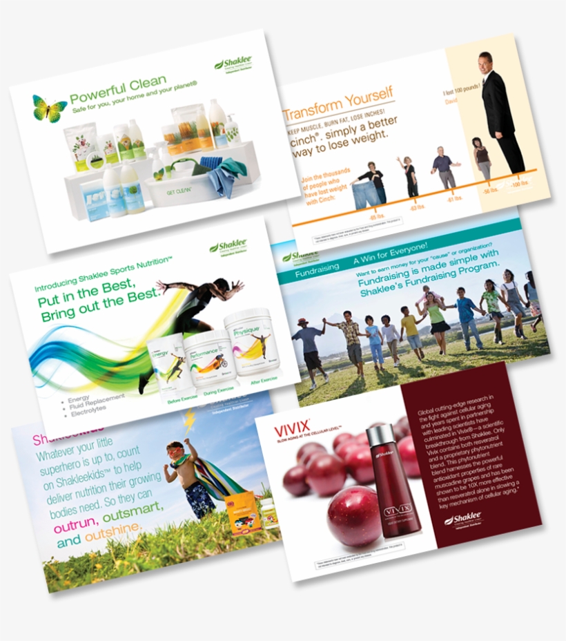 They're Branded - Examens De L'ocde Sur La Formation Des Migrants Combler, transparent png #2747654