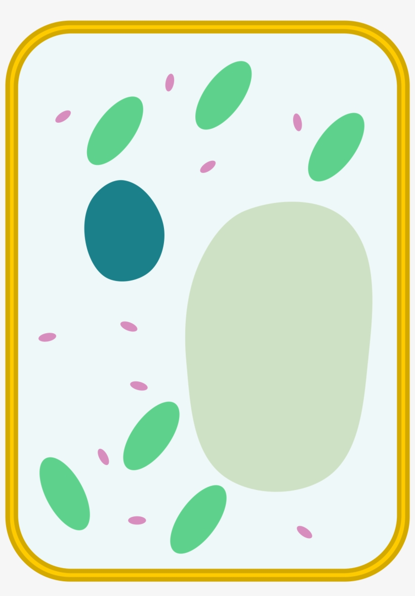 Template Simple Diagram Blank Animal Cell - Simple Blank Plant Cell Diagram  - Free Transparent PNG Download - PNGkey