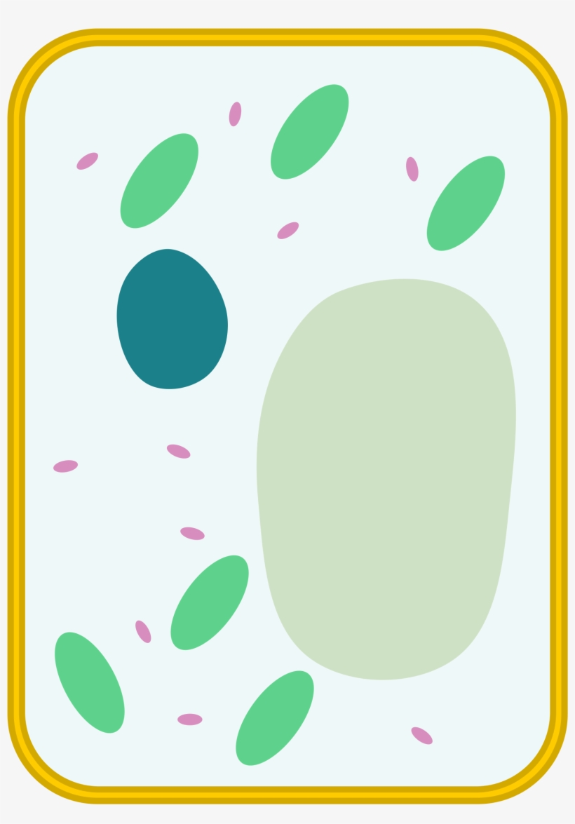 Template Simple Diagram Blank Animal Cell - Simple Blank Plant Cell Diagram, transparent png #2749167